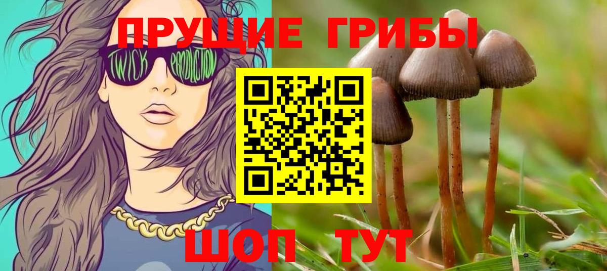 Псилоцибиновые грибы MAGIC MUSHROOMS Ступино