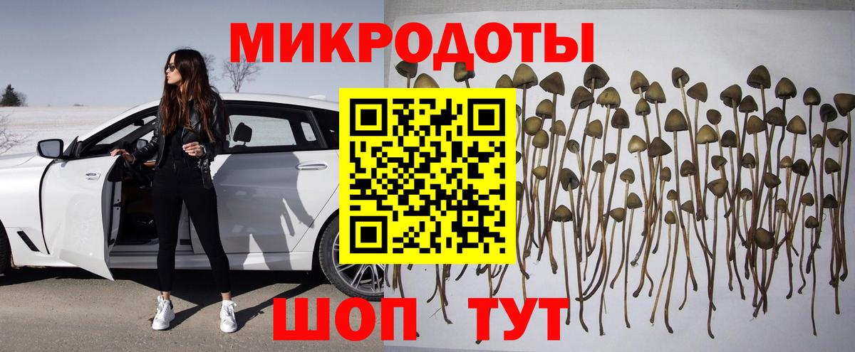 Псилоцибиновые грибы мицелий  Вход с VPN  Ступино  Псилоцибиновые грибы MAGIC MUSHROOMS 
